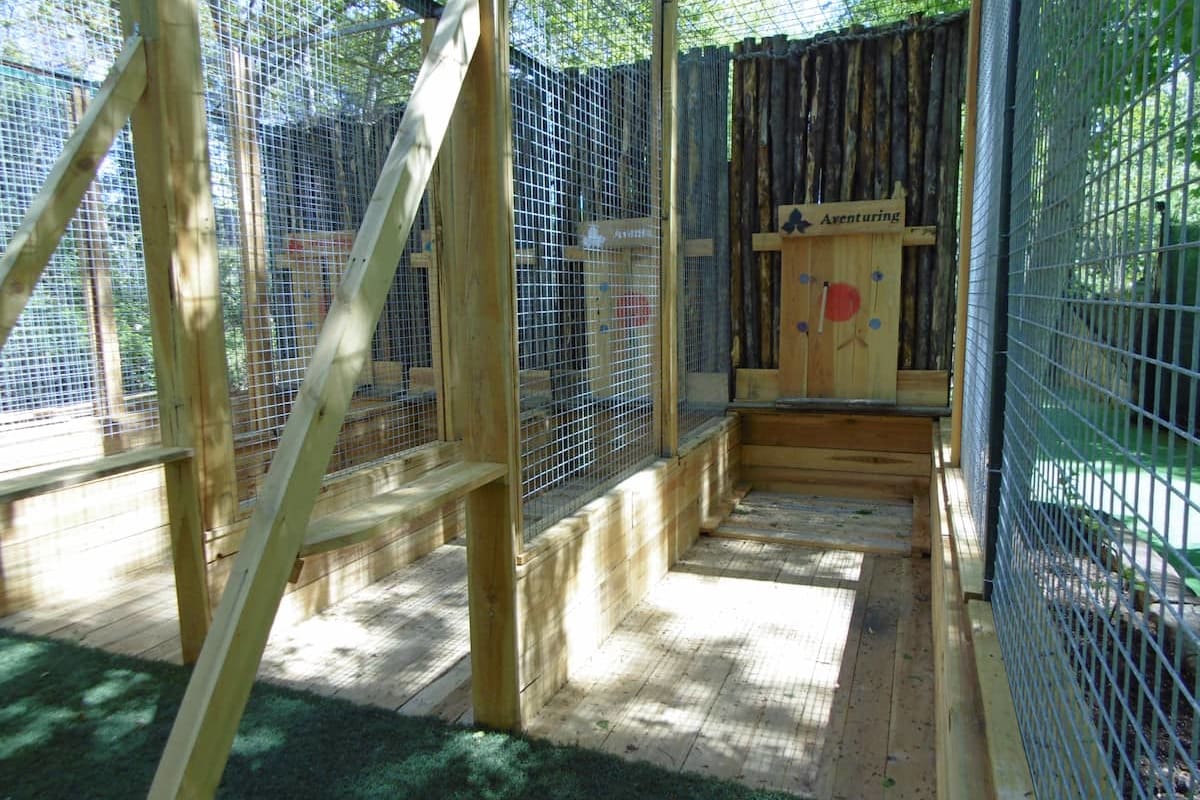 Axe throwing