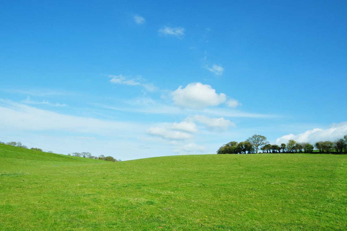 Green field parkland