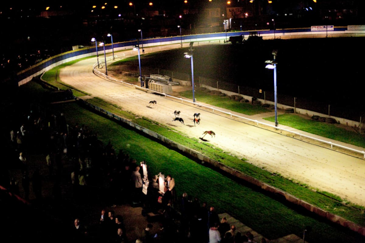 Perry bar greyhound track Birmingham - race course 2