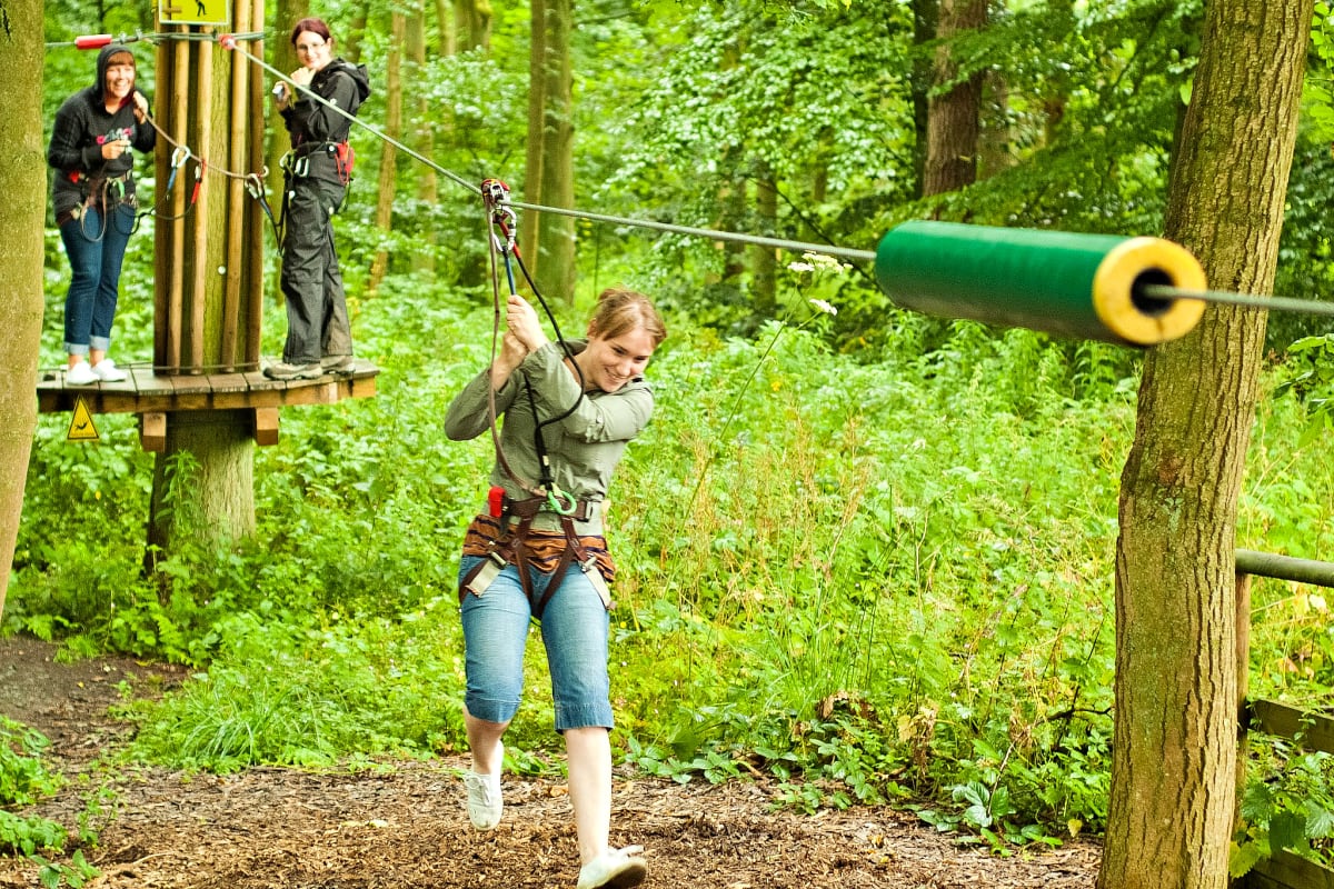 Go ape - Maften Hall - High ropes course.jpg