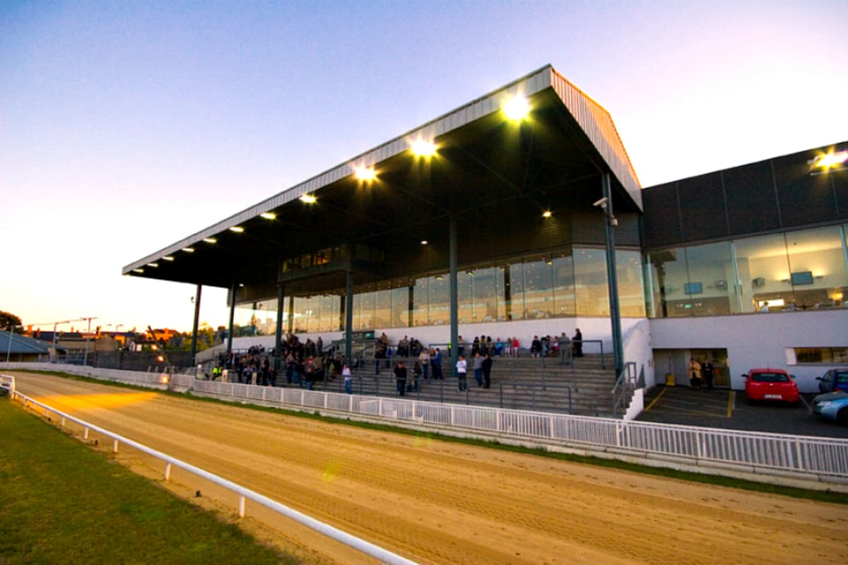 Harold's Cross Greyhounds Stadium - racecourse.jpg