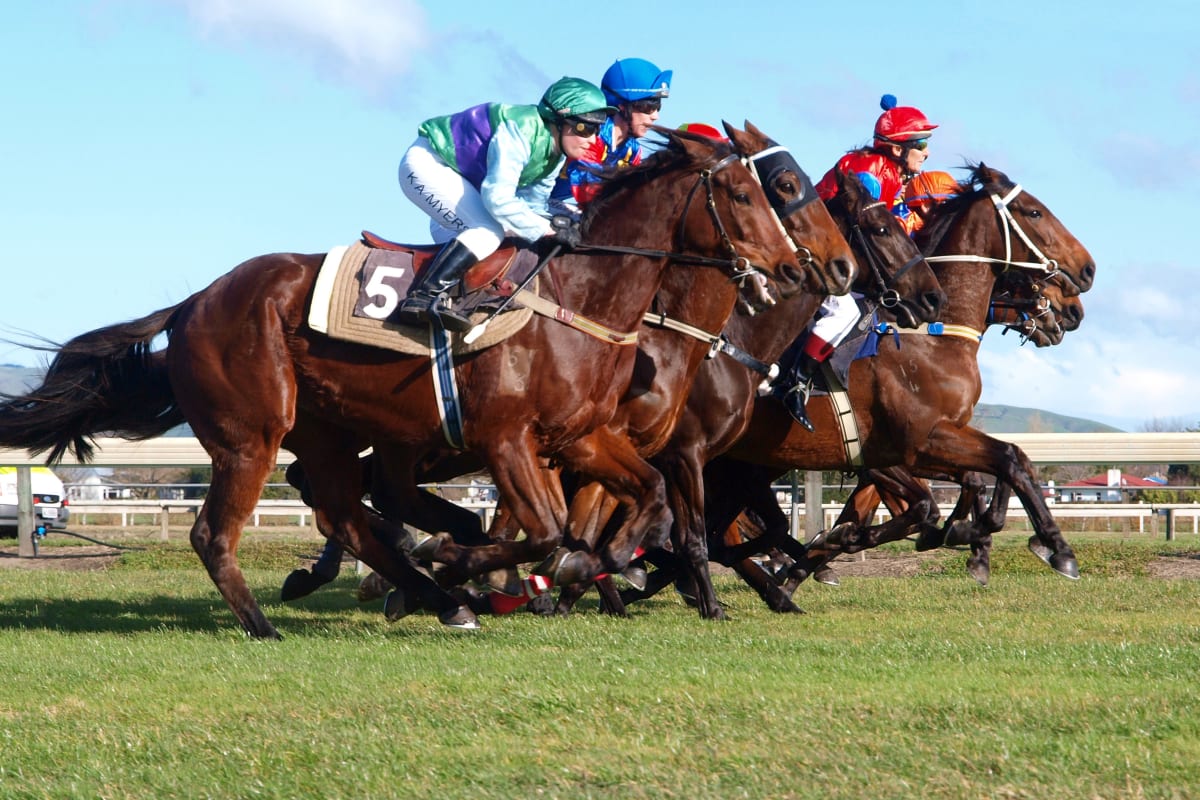 Horses racing on a grass track