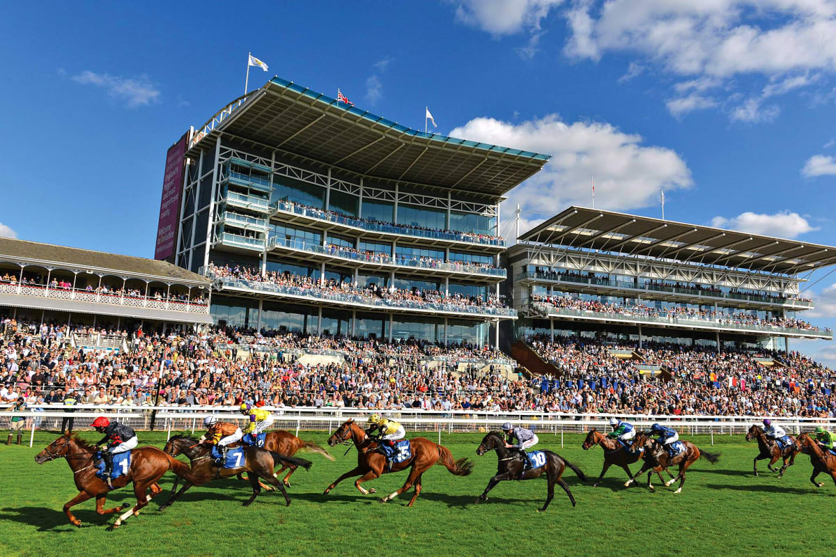 York racecourse - track.jpg