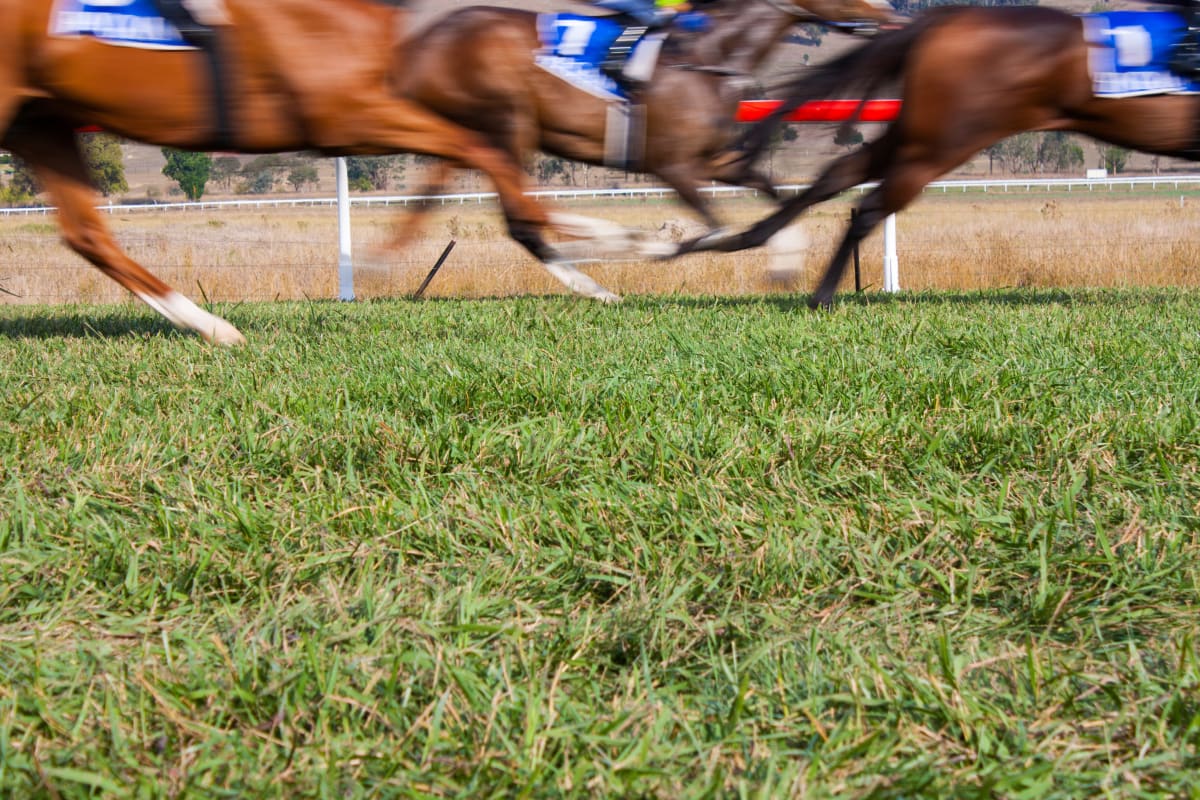 Horses running at ascot racecourse