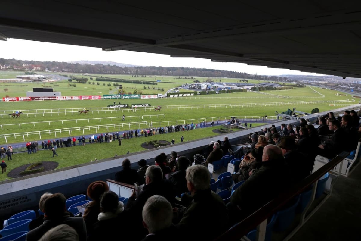 Leopardstown Racecourse - Dublin - racecourse.jpg