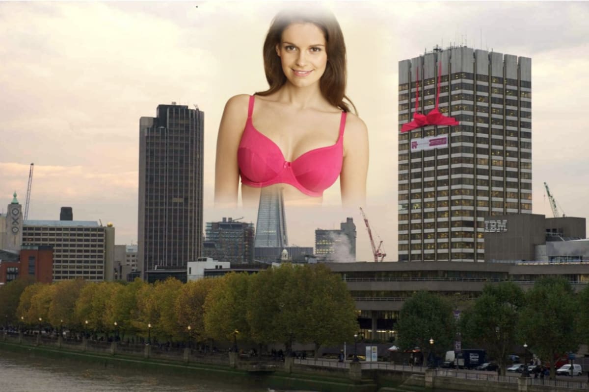 The World's Largest Bra