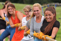 A laughing hen group playing tug of war