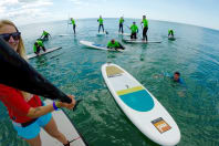 A stag group out at sea paddleboarding