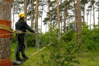 Lanovecentrum - High ropes course