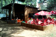 Aventura Amazonia - Cafeteria.jpg
