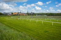 horse racecourse ground