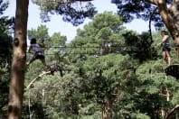 Aventura Amazonia - High ropes course-2.jpg