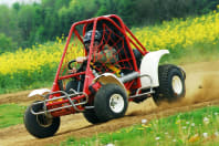 Gemini Liberator Off Road Buggy