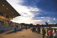 Kincsem Park - Inside stadium.jpg