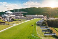 Goodwood racecourse - racecourse.jpg