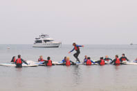 Hens on the Beach Land and Wave hens on paddle games