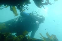 Dive Newquay deep diver