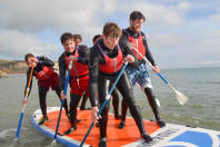 Group of stags paddleboarding