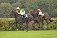 Hoppegarten Racecourse horses during race