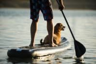 Paddleboarding with dog