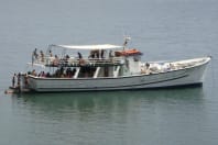 80 pax Motor Boat