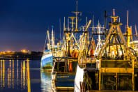 Fish Quay - Boats