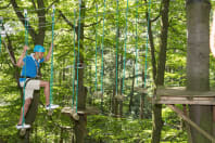 man climbing high ropes