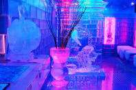 Icebar Budapest