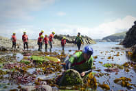 Cornish Castaway Rip Curl