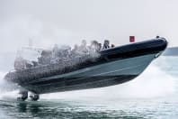 Seadogz Rib Charter