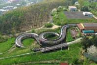 Bobsledding Tobogganing