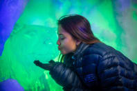 Amsterdam Ice Bar