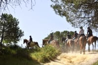 Horse Riding 3
