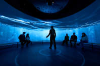 Tour Scotch Whisky Experience