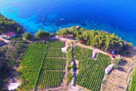 Winery 2