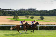 Goodwood racecourse - racecourse 2.jpg