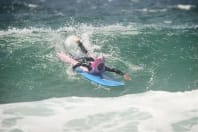 Surfing