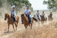 Horse Riding