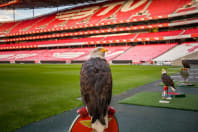 Benfica - 3