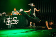 Bingo Lingo