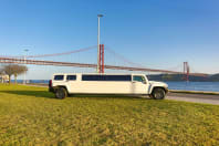 Hummer - 1