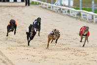 Greyhound Stadium - Newcastle (The Fossway)