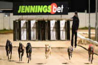 Greyhound Stadium - Newcastle (The Fossway)