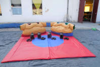 The Geordie Games