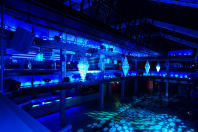 Building-Six-Main-Room