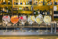 Gin and Tonic Drinks