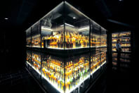 Scotch Whiskey Experience - Collection Corner Wall