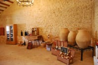 Bodegas Pedro Moreno 1940 - Inside of vineyard.jpg