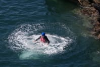 A group enjoying coasteering