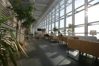 Bucharest Henri Coanda Airport_interiors.jpg
